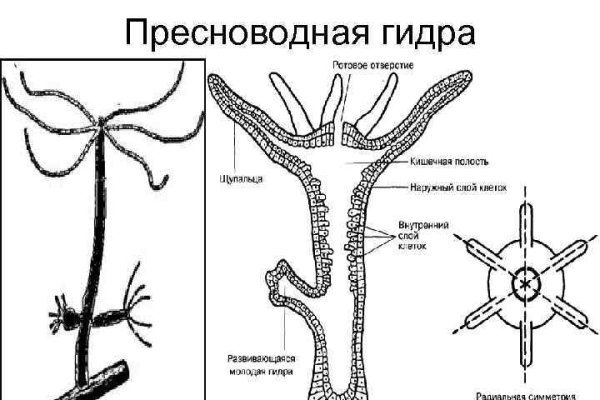 Как купить через кракен